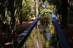 Im "Jardin Majorelle"