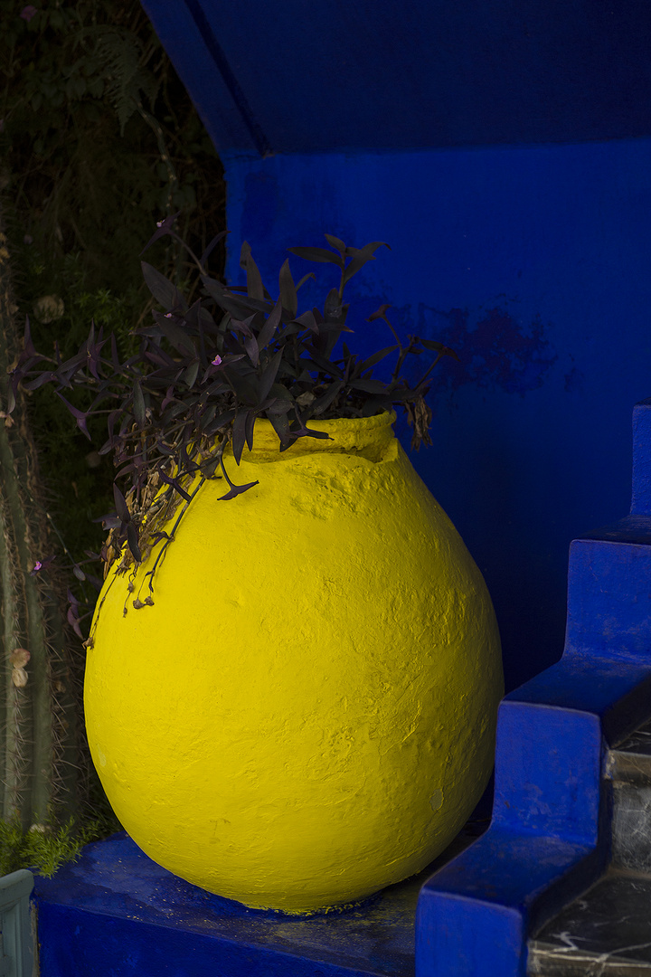 Im Jardin Majorelle