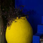 Im Jardin Majorelle