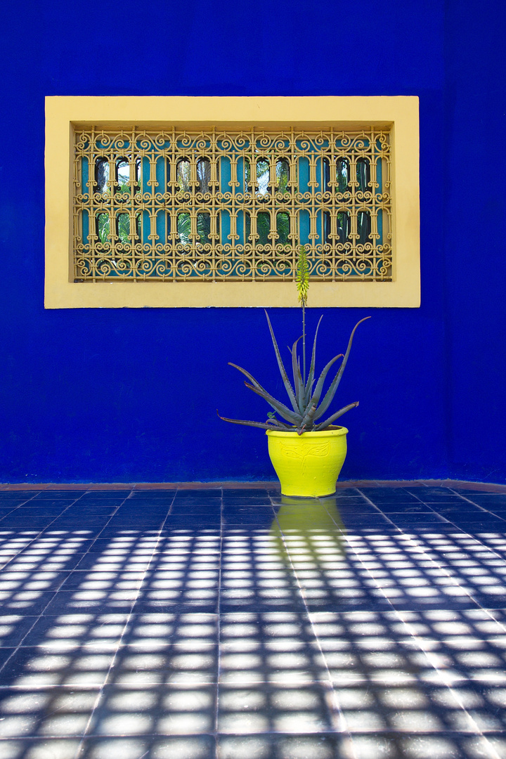 Im jardin majorelle