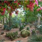 Im Jardin Majorelle