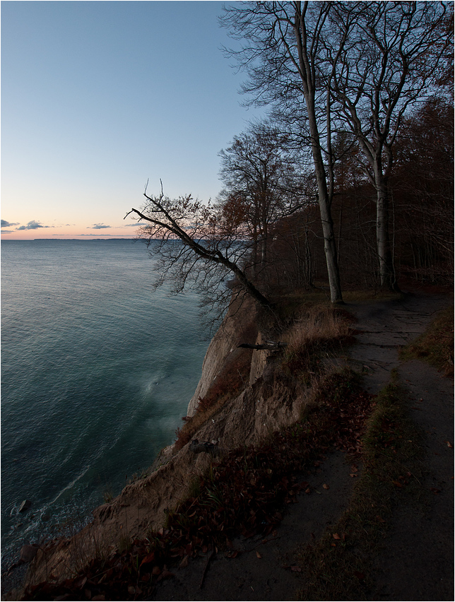 Im Jasmund Nationalpark