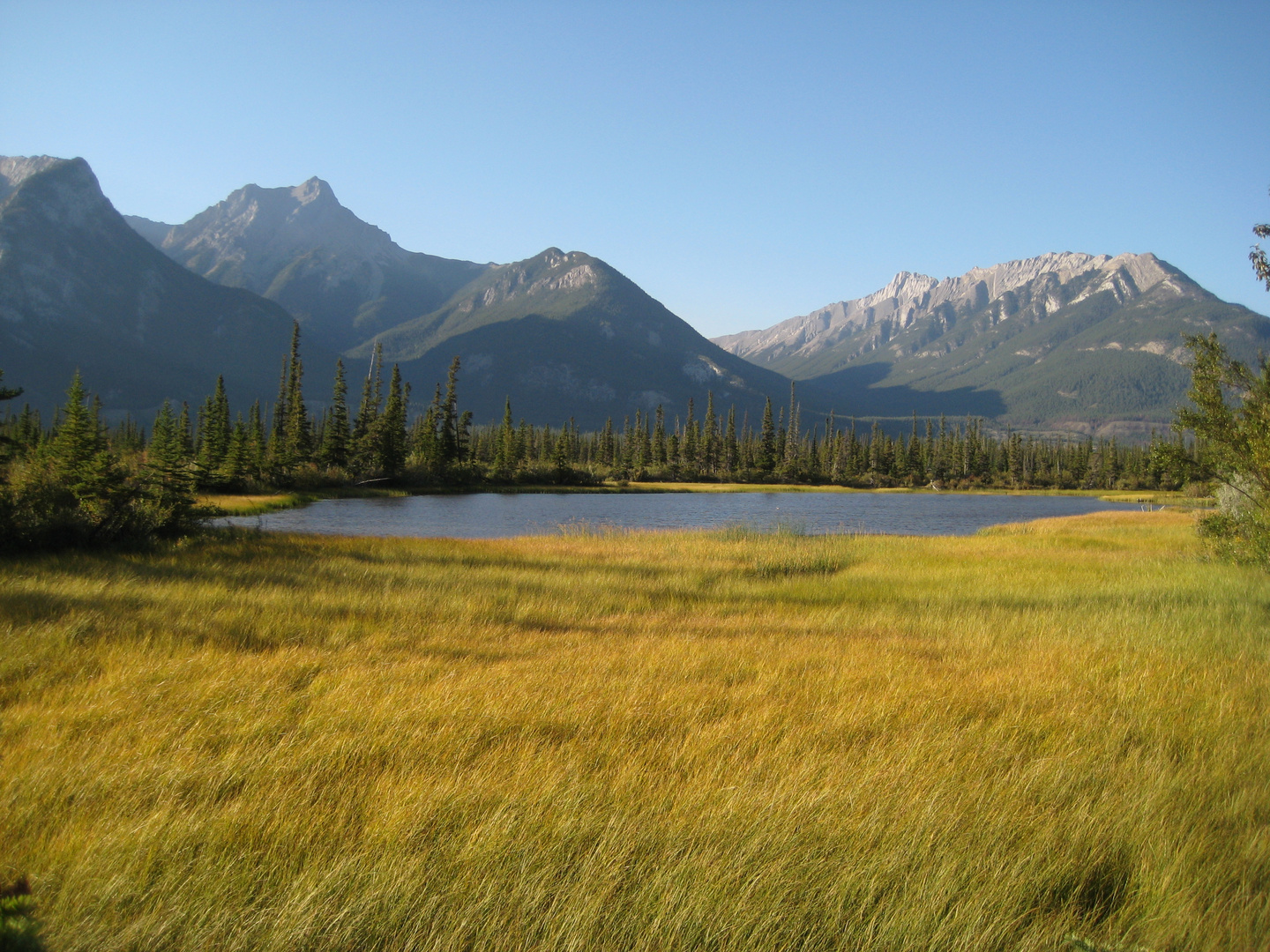 Im Jasper Nationalpark, Kanada