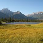 Im Jasper Nationalpark, Kanada