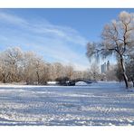 im Johannapark - Leipzig (Winterimpressionen Bild 3)