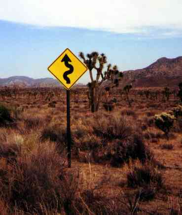 im Joshua Tree National Park