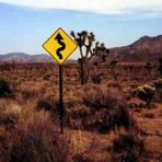 im Joshua Tree National Park