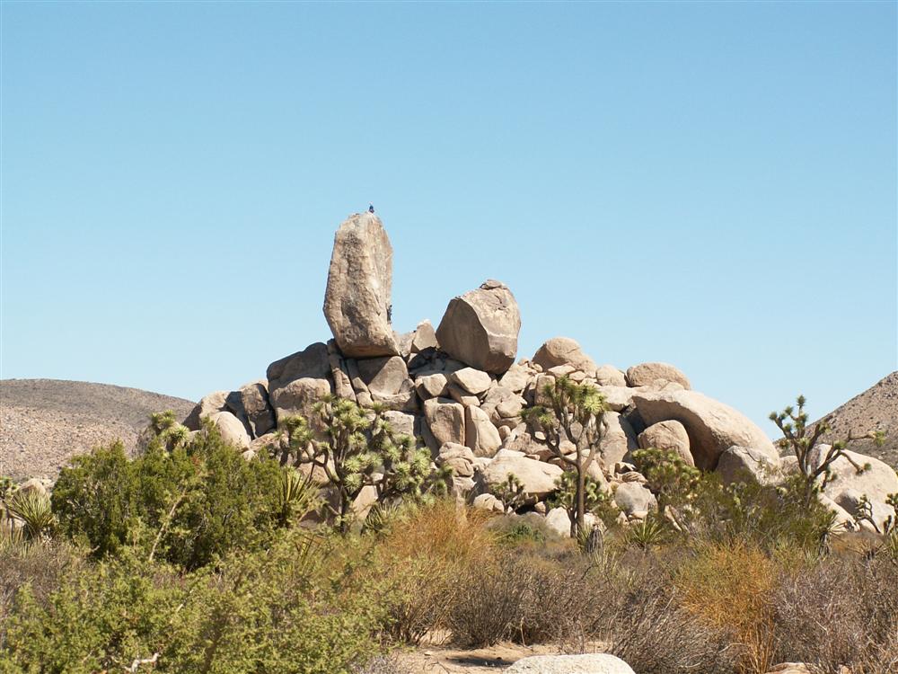 Im Joshua-Tree Nationalpark