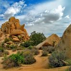 Im Joshua Tree Nationalpark