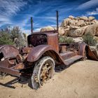 im Joshua Tree NP