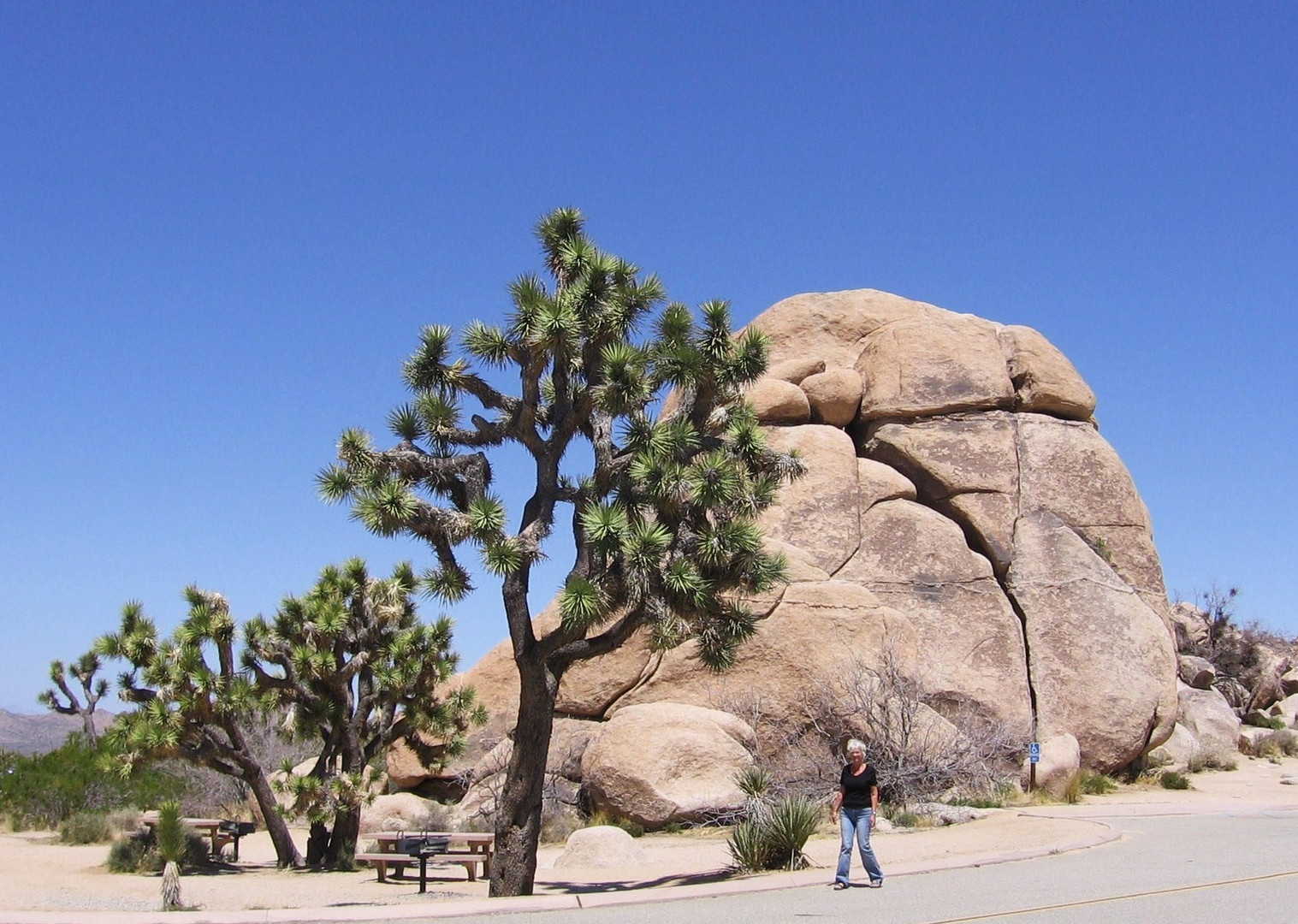 im Joshua Tree N.P.