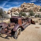 im Joshua Tree NP