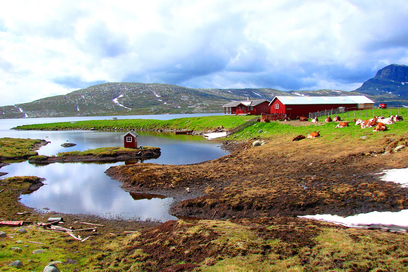 Im Jotunheimen NP vor 2 Wochen