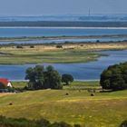 Im Juli auf der Insel Hiddensee