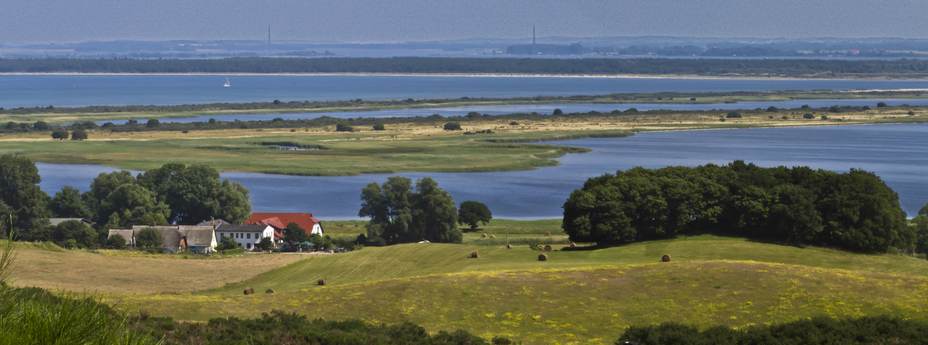 Im Juli auf der Insel Hiddensee