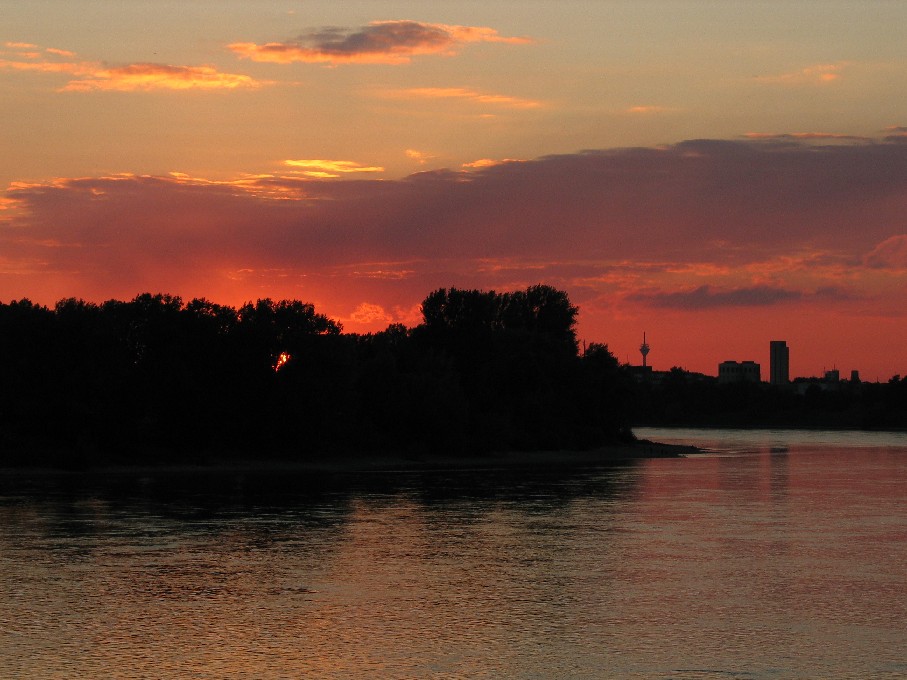 Im Juni am Rhein bei Düsseldorf