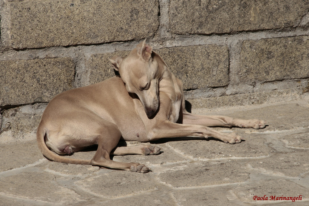 I'm just sleeping...under the sun