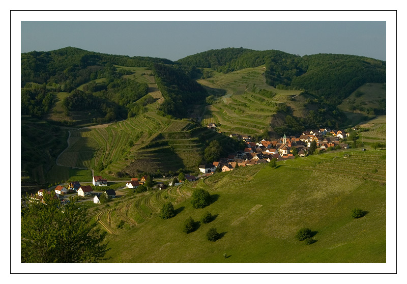 Im Kaiserstuhl ...