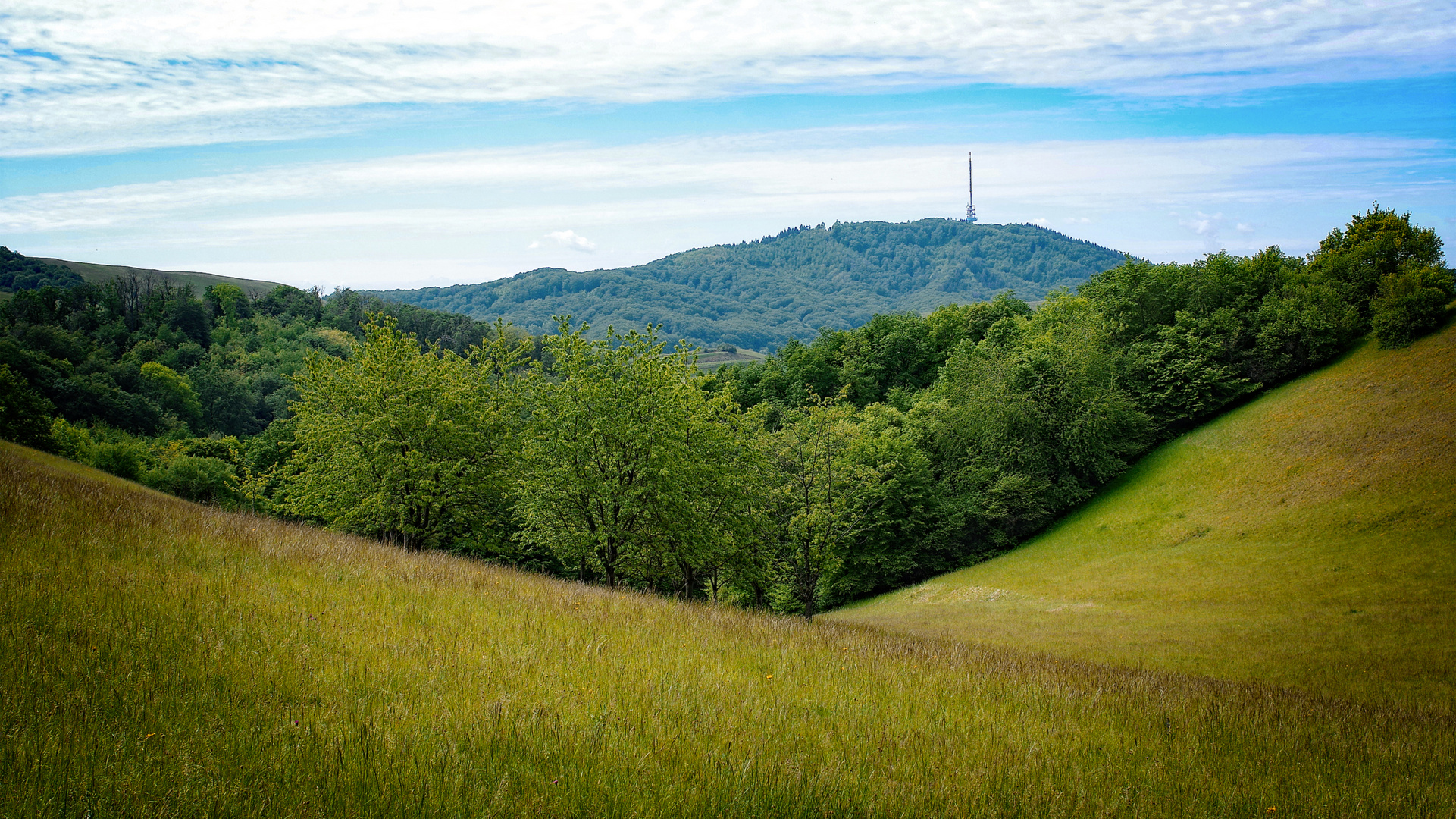 Im Kaiserstuhl