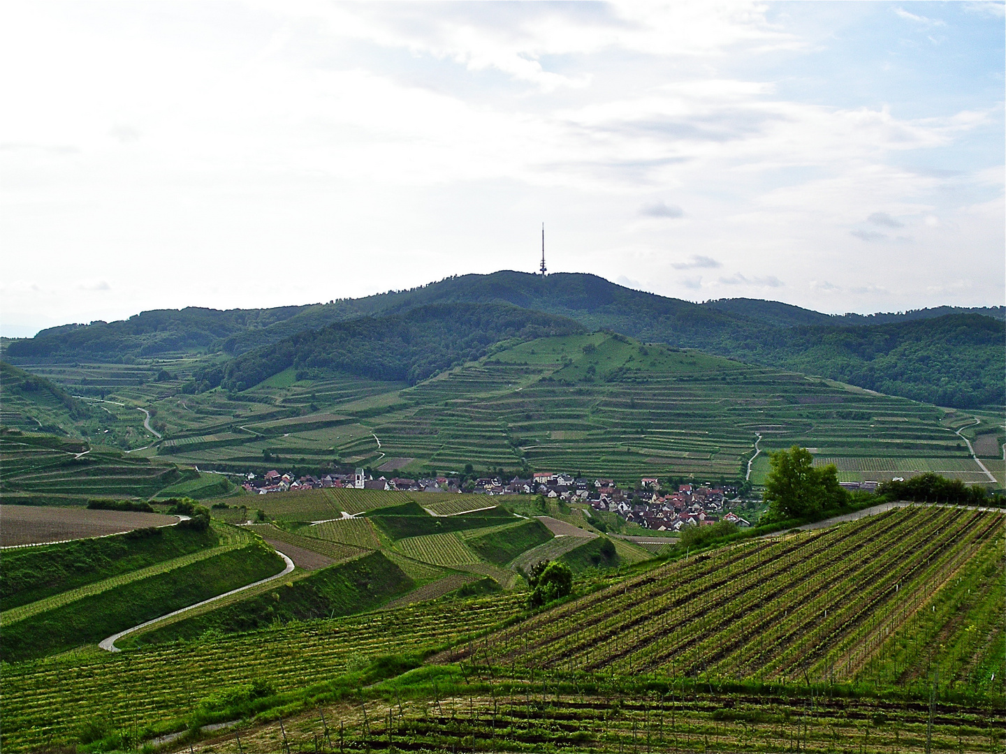 Im Kaiserstuhl