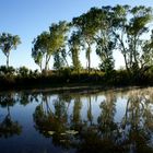 Im Kakadu Nationalpark