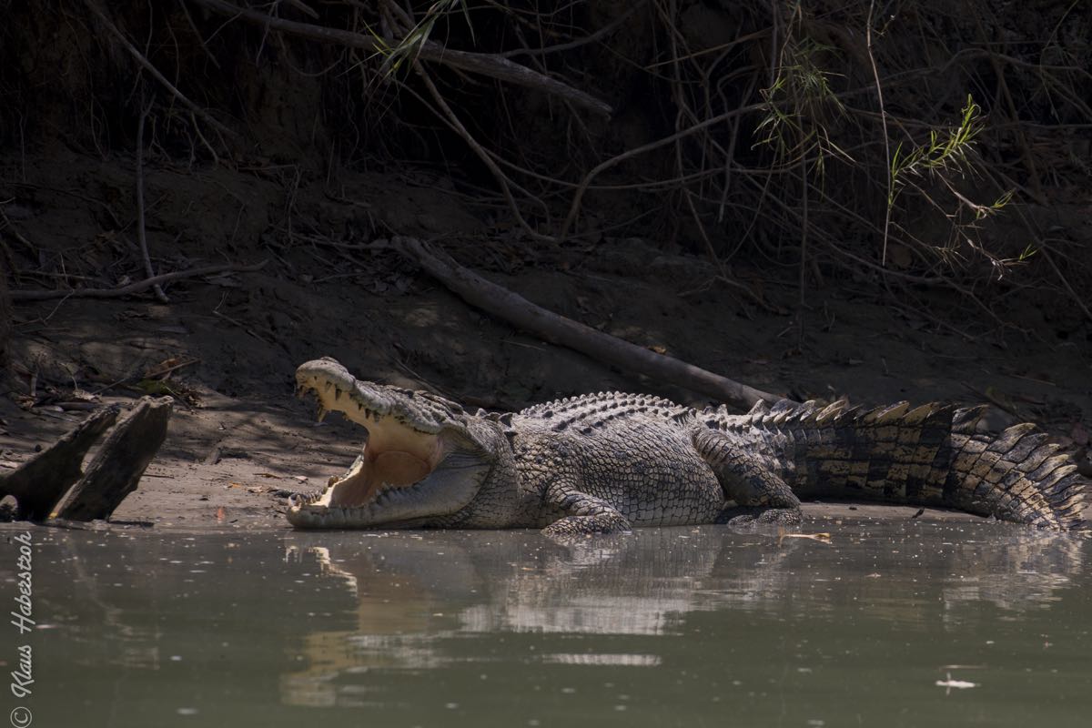 im Kakadu NP