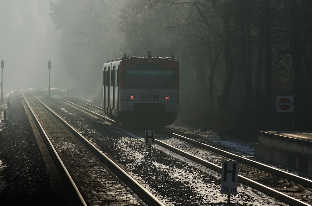 Im kalten Morgendunst