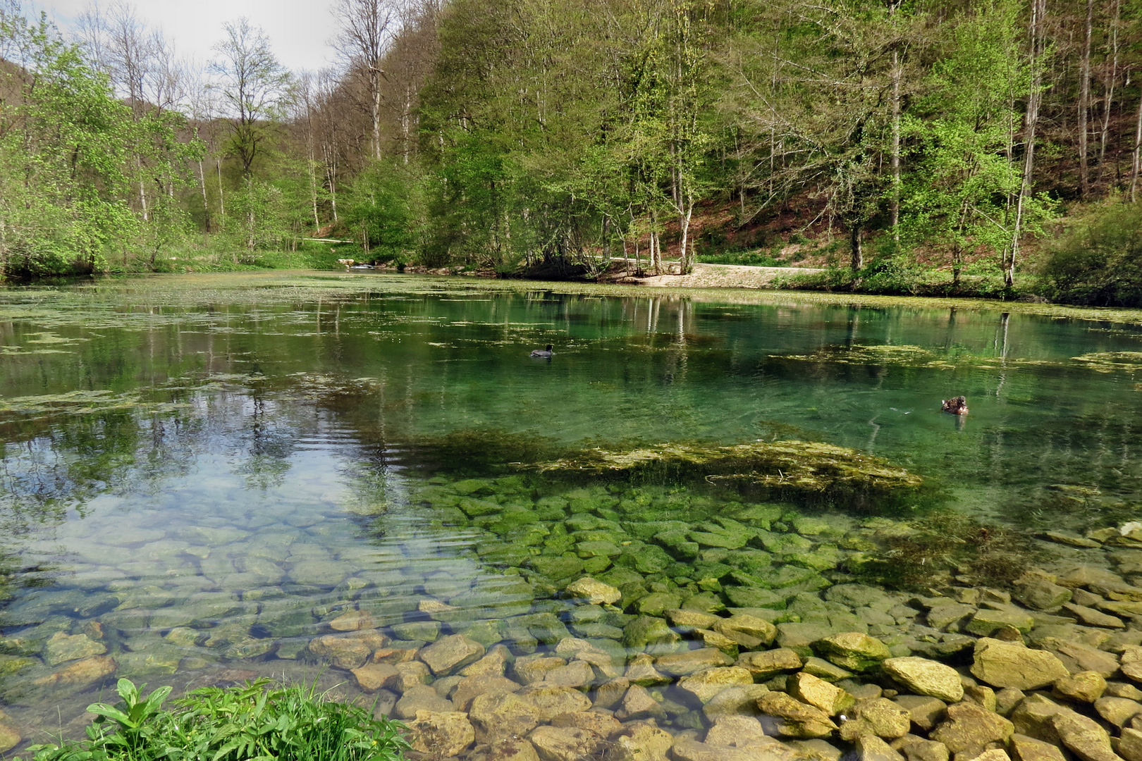 im Kaltental bei Urach