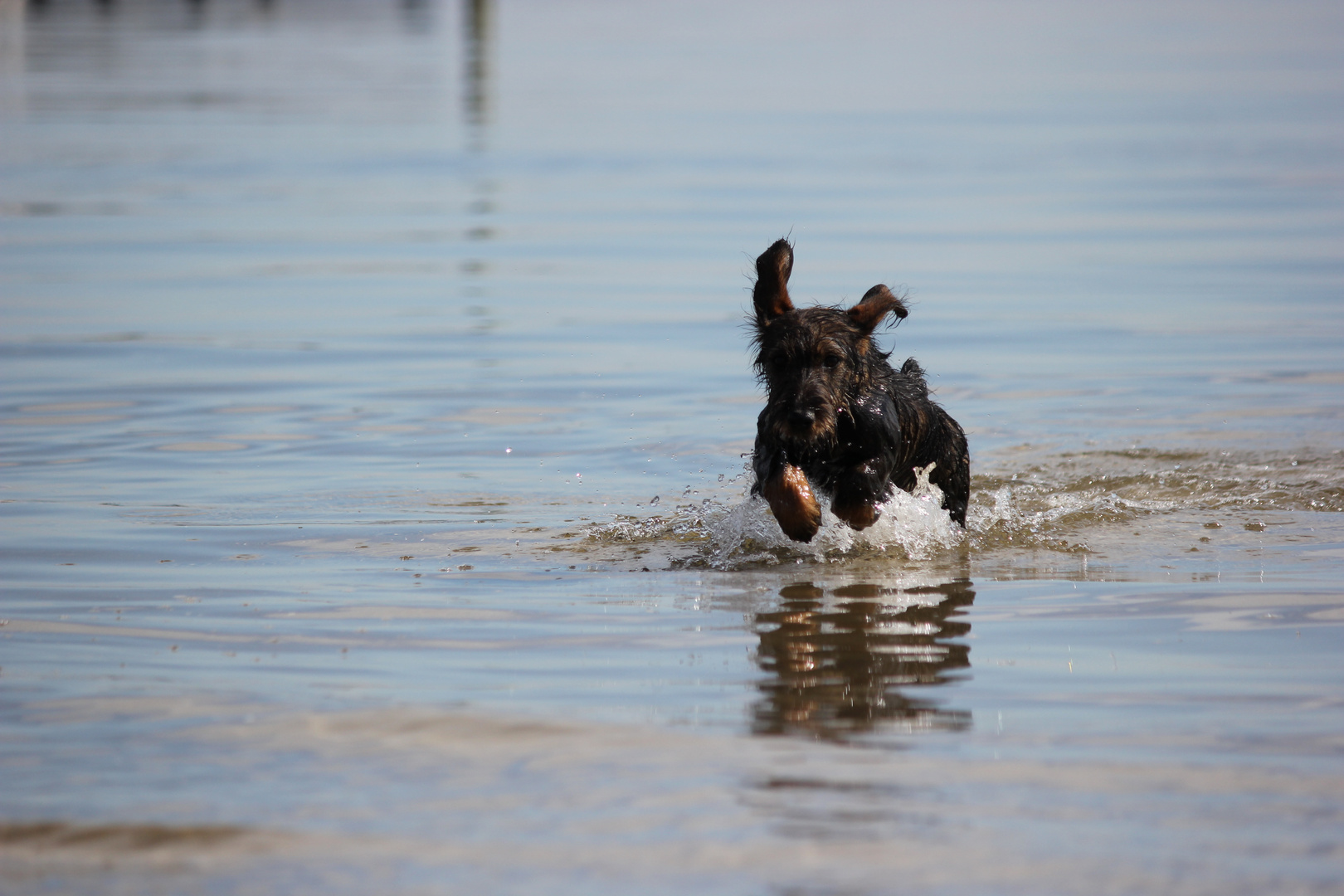 Im Kampf gegen das Wasser