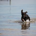 Im Kampf gegen das Wasser