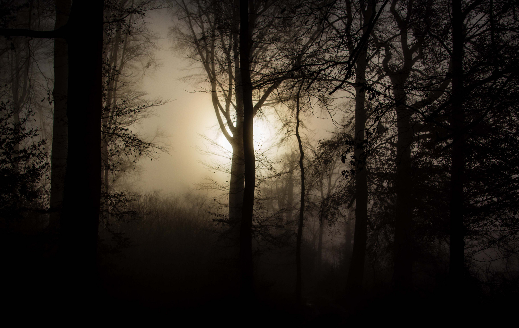 im Kampf Licht gegen Nebel