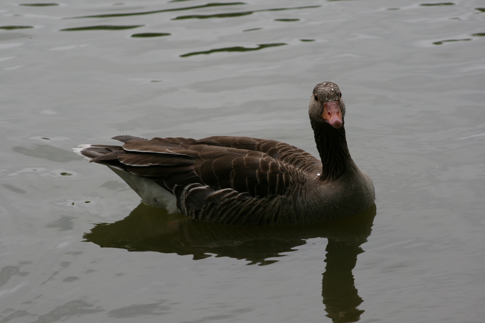 Im Karlsruher Zoo