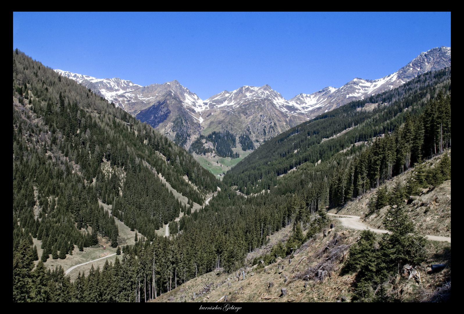 Im karnischen Gebirge