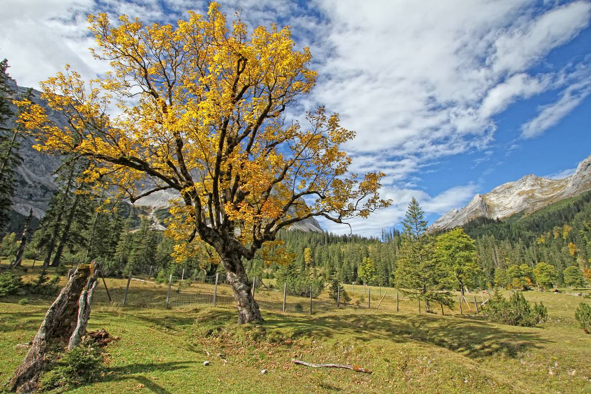 im Karwendel