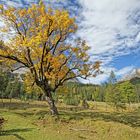 im Karwendel