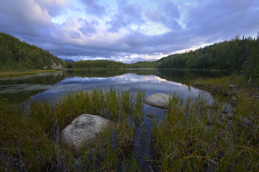 Im Kenai National Park