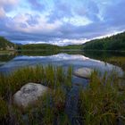 Im Kenai National Park