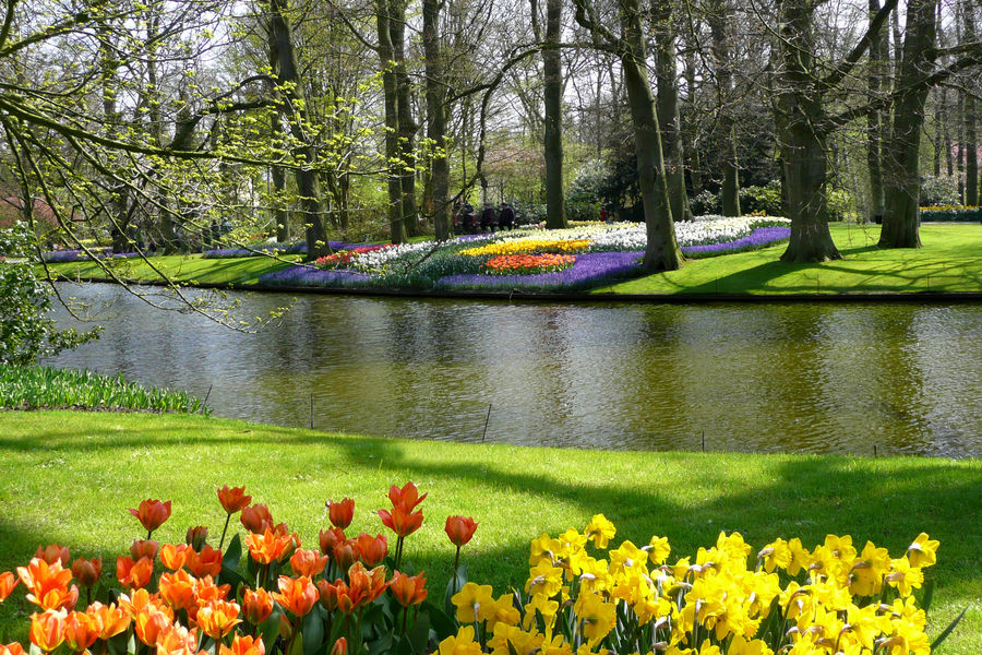 Im Keukenhof / Amsterdam