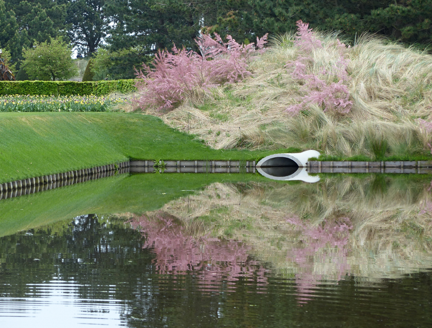 im Keukenhof