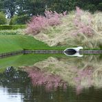 im Keukenhof