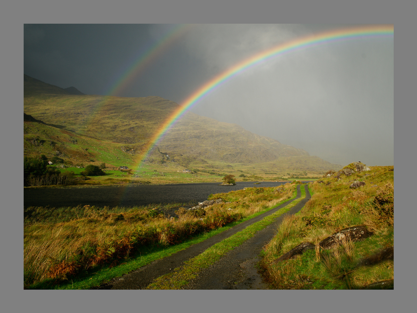 Im Killarney Nationalpark