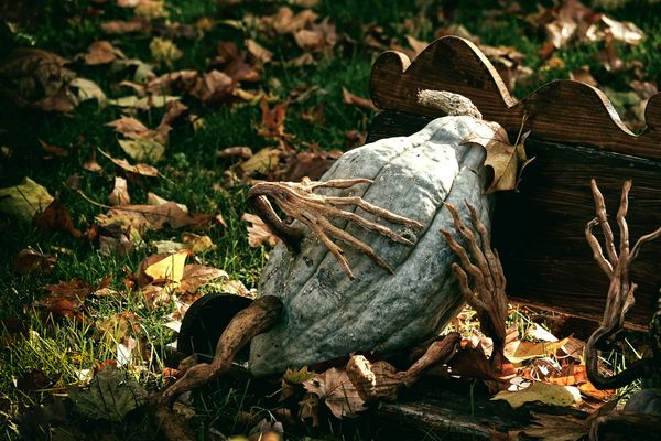 im Kino läuft der Gruselfilm ...