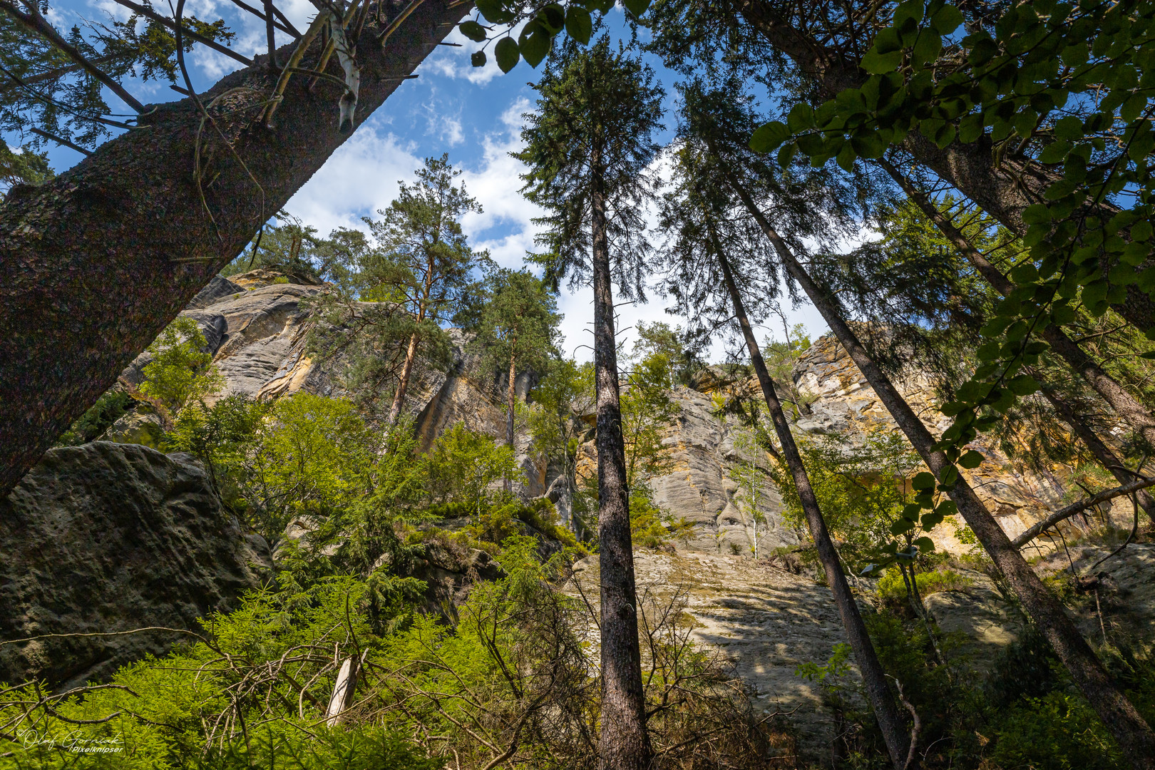 Im Kirnitschtal… 