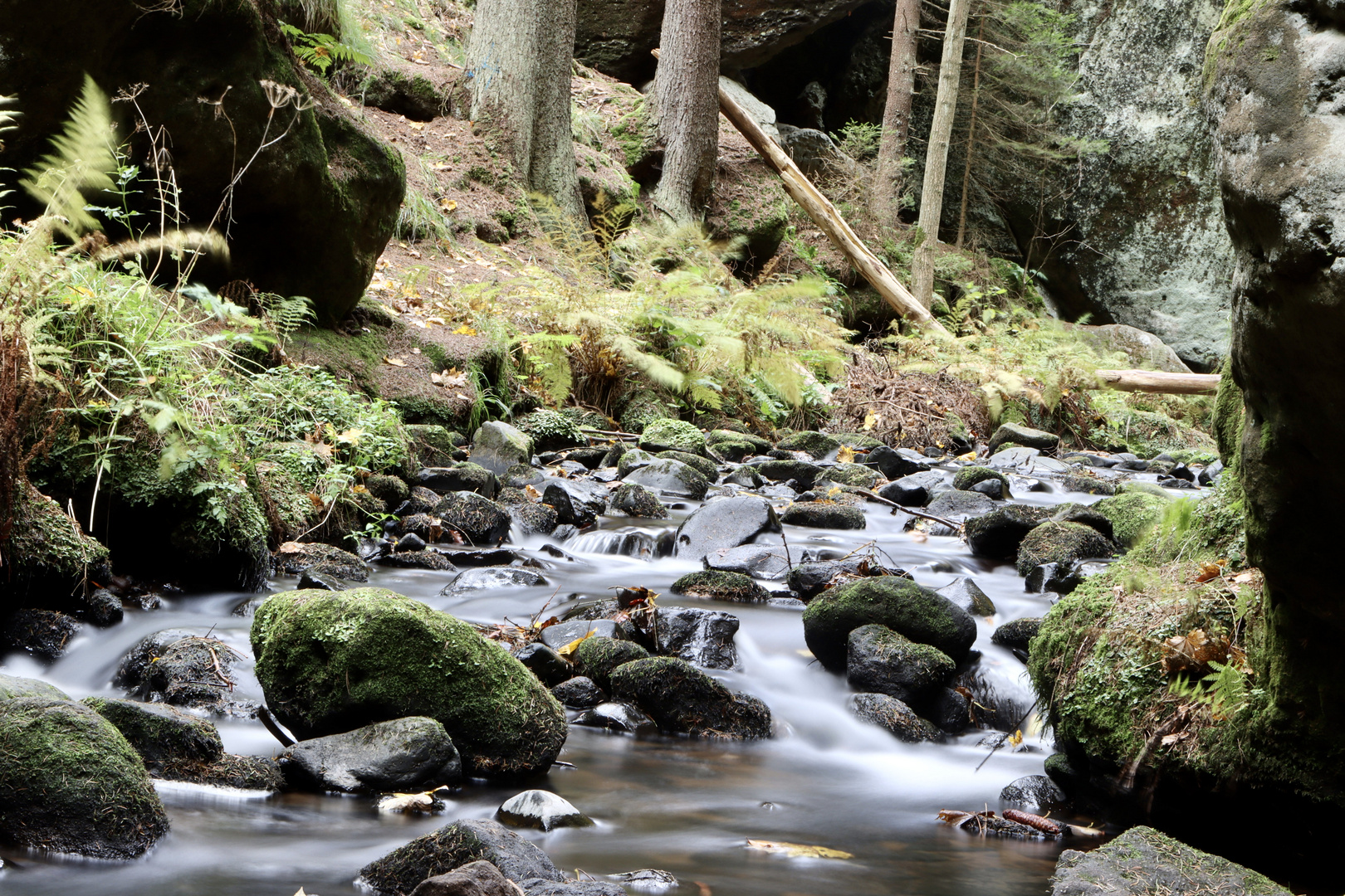 Im Kirnitschtal