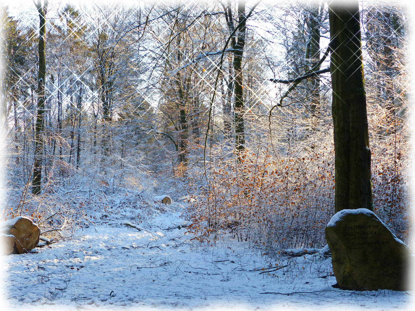 Im Klecker Winterwald