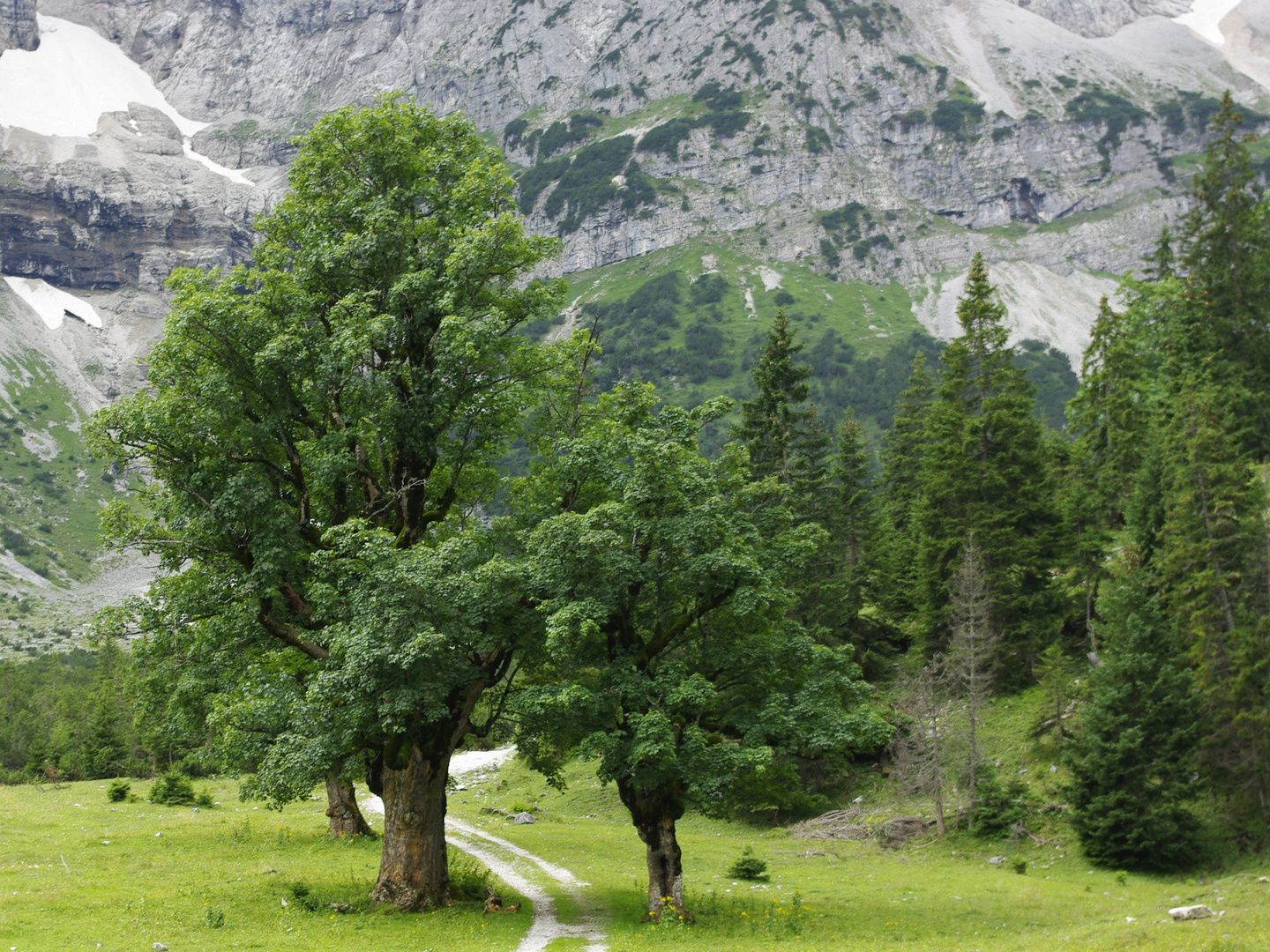 Im kleinen Ahornboden im Karwendel