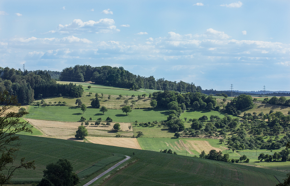 im kleinen Odenwald