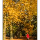 Im kleinen Park nebenan