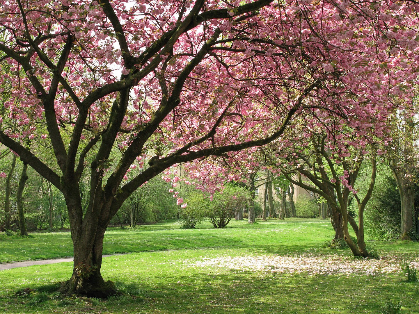 Im kleinen Stadtteilpark