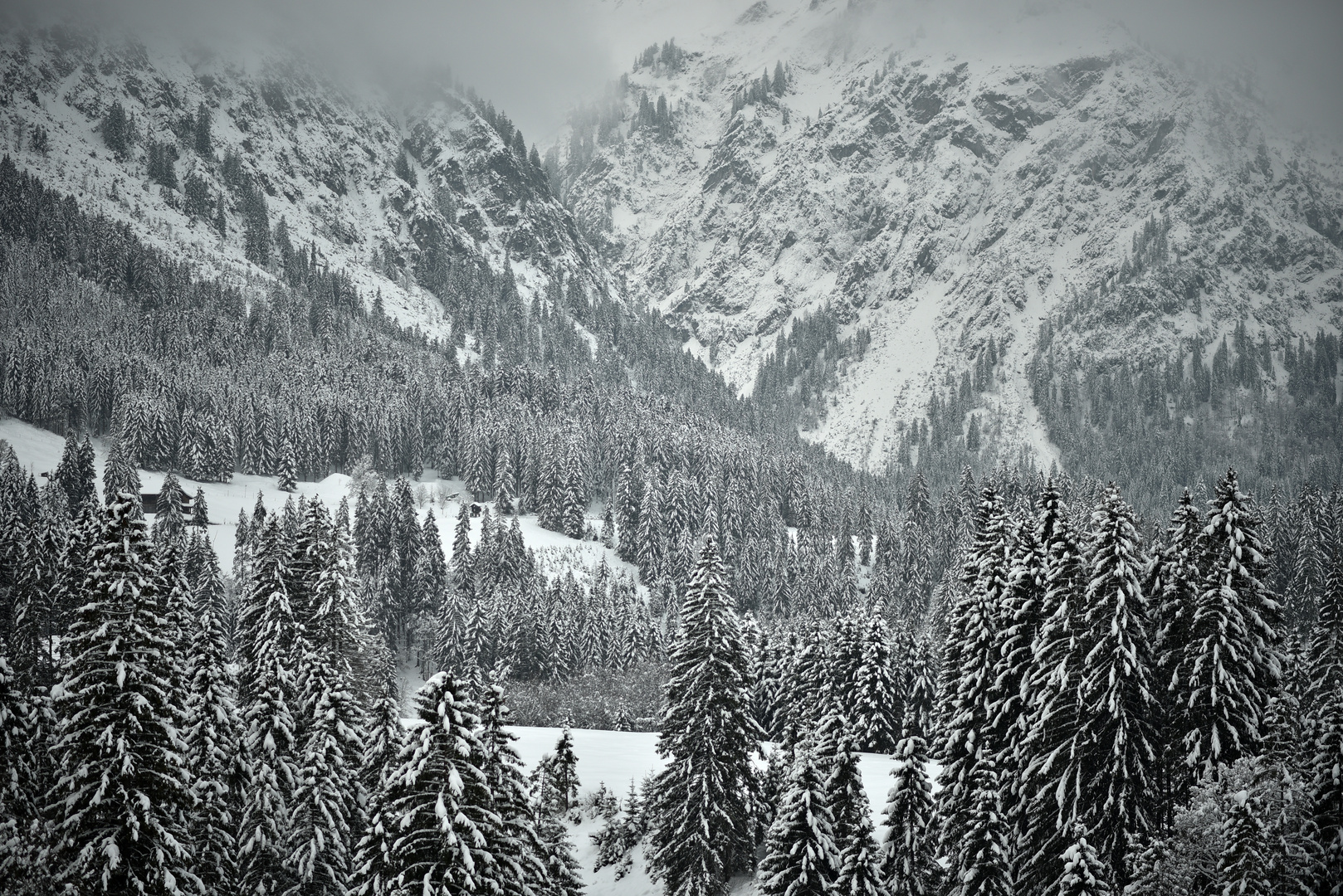 Im Kleinwalsertal